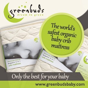 OrganicMattress1 (1)