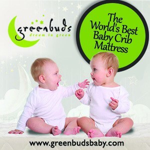 OrganicMattress2
