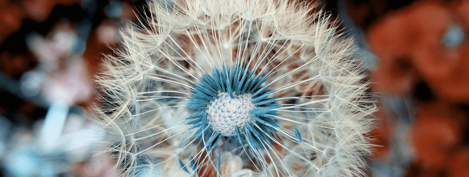 how often you should blog